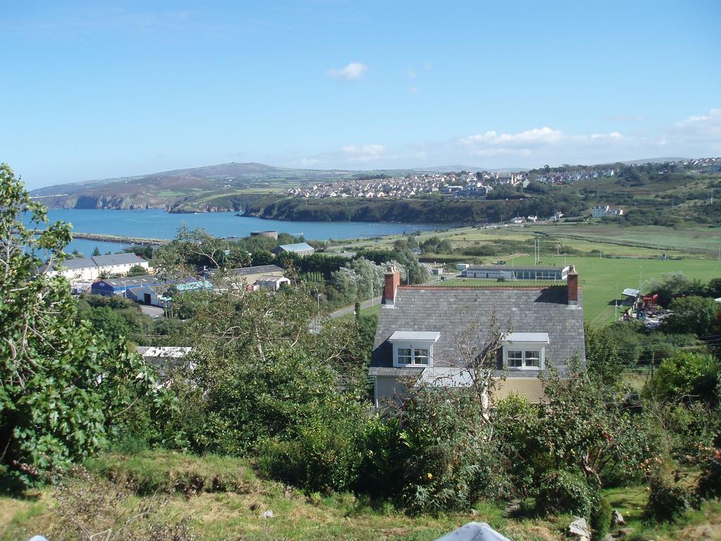 Fern Villa B&B Fishguard Room photo